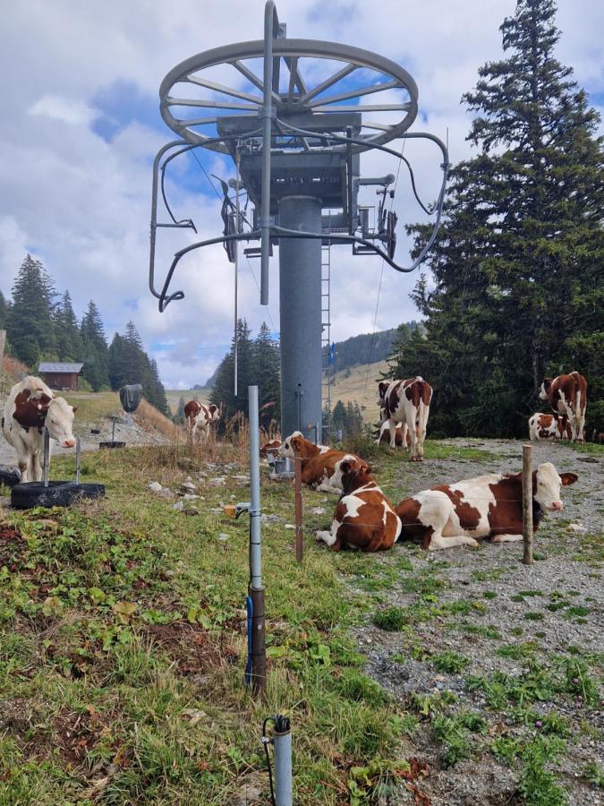 Appartement Tout Confort Montagne Et Lac Leman Thollon-les-Memises Eksteriør billede