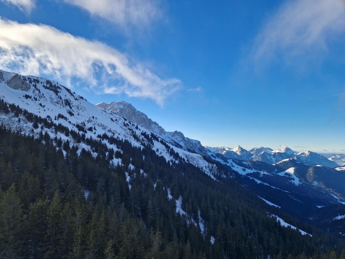 Appartement Tout Confort Montagne Et Lac Leman Thollon-les-Memises Eksteriør billede